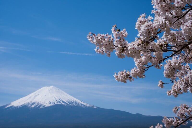 fuji