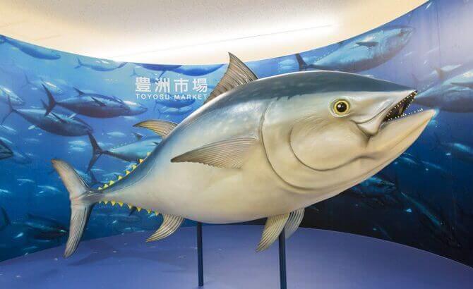 Attractiveness of the Toyosu market such as restaurants and tuna auctions