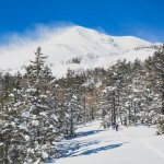 Top 5 Accommodations In Niseko Ski Resorts 2019