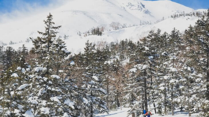 Top 5 Accommodations In Niseko Ski Resorts 2019
