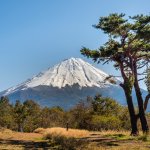 Fascinating Activities For Tourists In Yamanashi