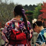 5 Best Tours and Activities in Kyoto 2019