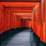 Things To Do In Kyoto For Family