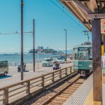 The 4 Best Tea Ceremony Experiences in Kamakura
