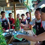 4 Best Vegan & Vegetarian Cooking Class in Phuket in 2020