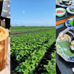 Cooking Class in Hakodate, Hokkaido 〜A Unique Food Experience for Travelers〜