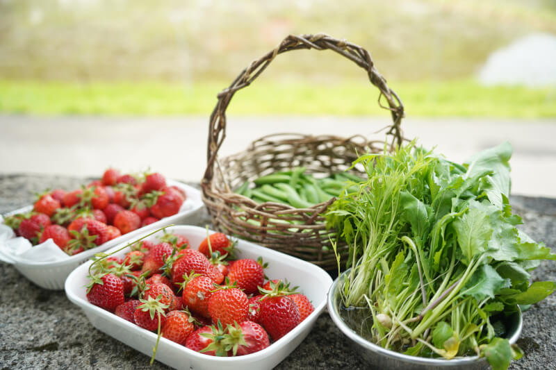 at countryside,show our lifestyle and vegetable garden, and cook what you want to  learn
