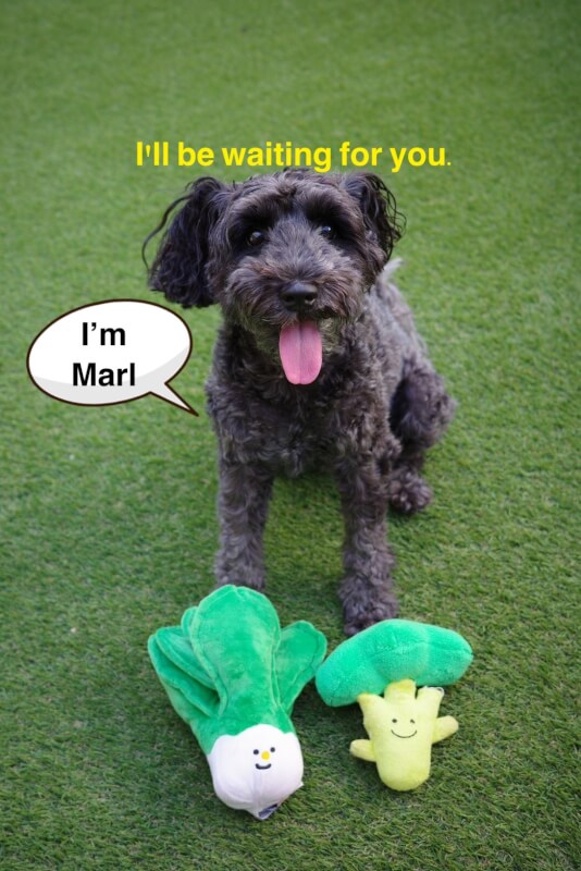 We look forward to your participation.