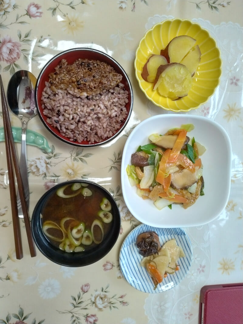 Japanese-style vegan cuisine