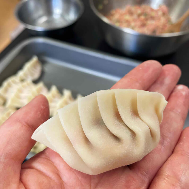 Homemade Gyoza Cooking Class at Shonan_Japanese Traditional Dumplings