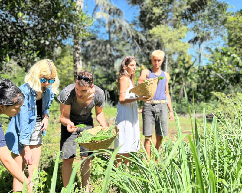 Ubud: Hands-on Balinese Cooking Class on Organic Farm