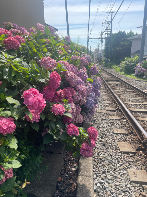 Kamakura street and alley tour 