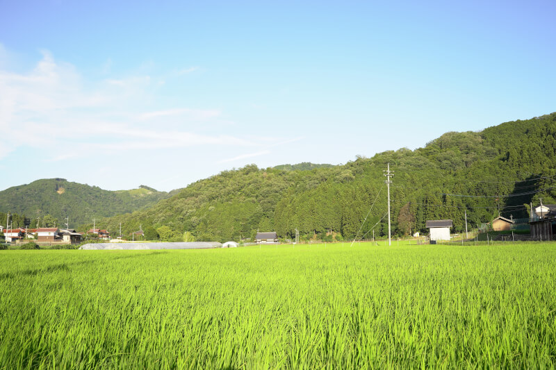 【at countryside】flowing noodle and tempura outdoors. see our garden and very green rice field.【at least 3people】