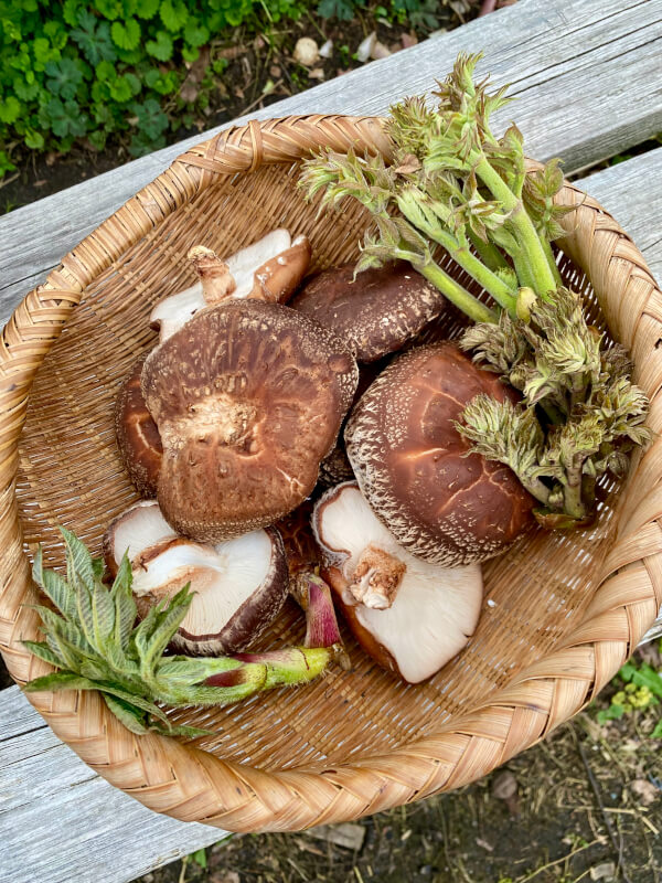 cooking-class-image