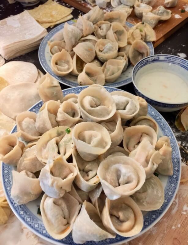 Homemade Chinese Organic Dumpling Class with Market Walk 