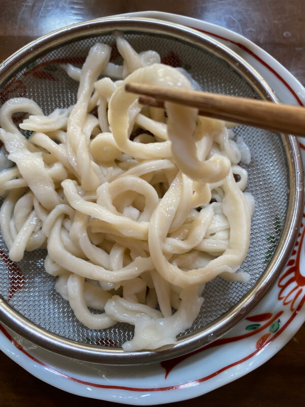 Handmade udon experience and curry udon※ Vegetarian and vegan options available