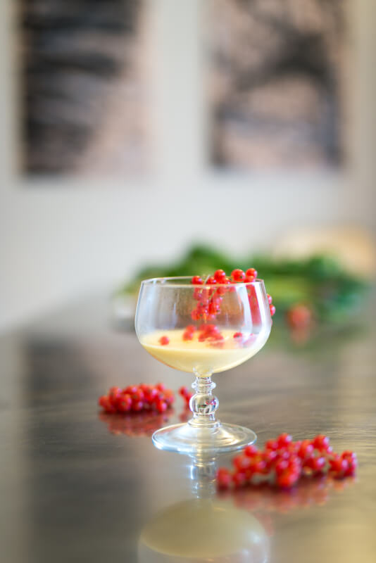 panna cotta for dessert