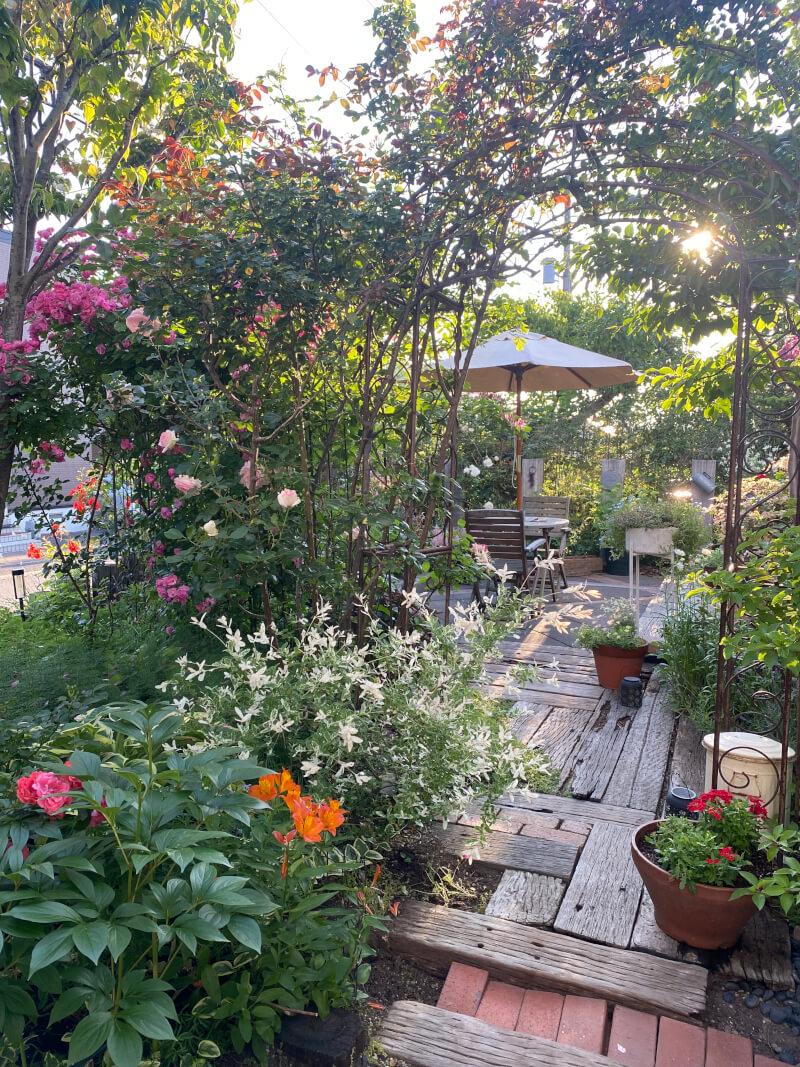 Relax in the garden 