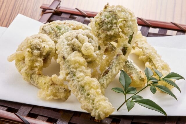 Authentic Japanese Cooking Experience in a Local Kitchen