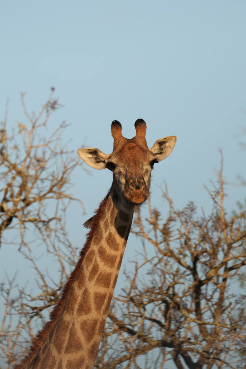 COOKING CLASS WITH TRADITIONAL BOLOGNA RECIPES, TRADITIONAL HOST ALESSIA AND TRADITIONAL WINES