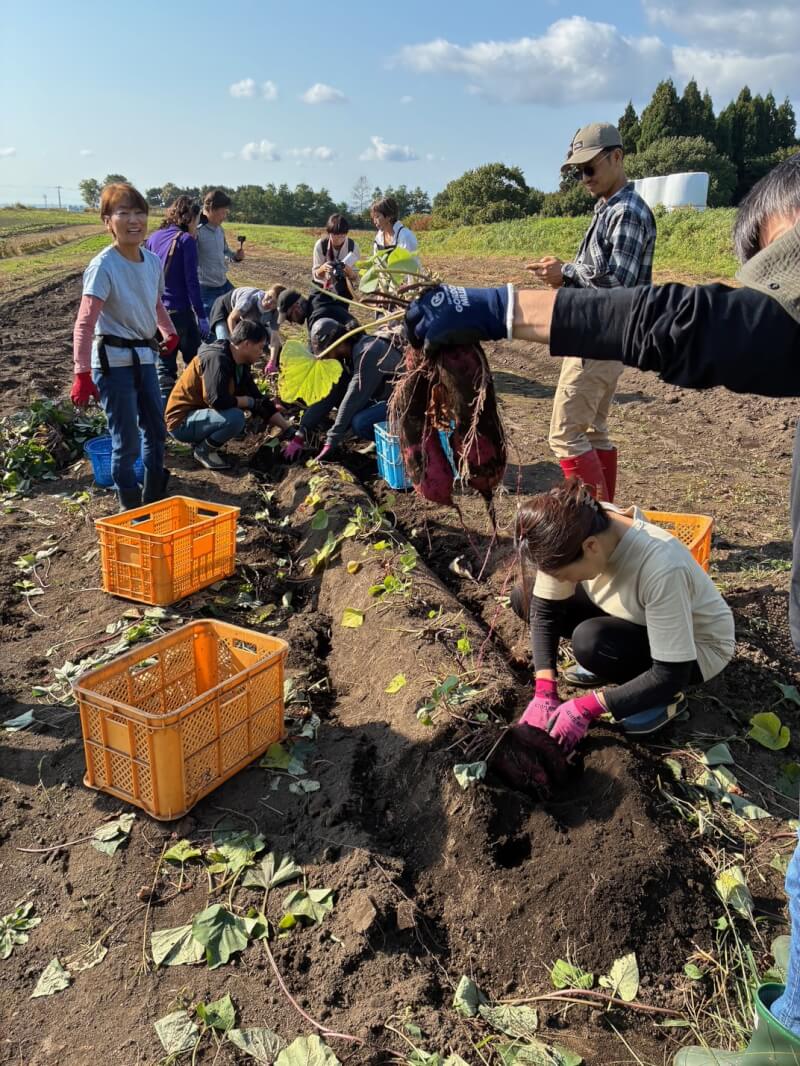 Would you like to touch the soil?