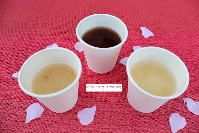 Miso Making from Scratch with Refreshing Amazake Dessert (Vegans OK)