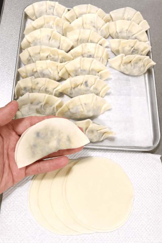 Gyoza Making Experience