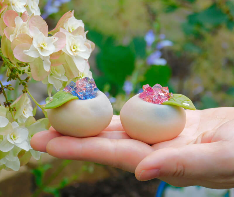 A Private Wagashi Master Class 【HYDRANGEA】
