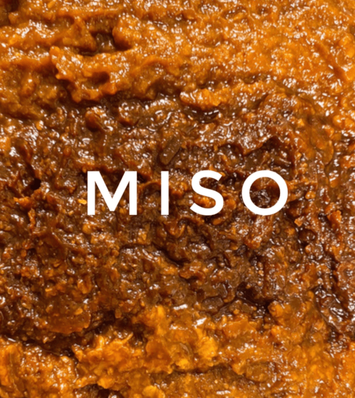 Hand making Miso class!  (+rice Koji class)