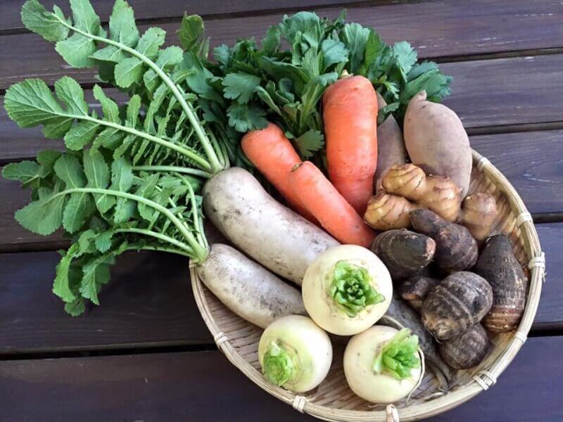 Vegetable salad and soup with seasonal organic vegetables