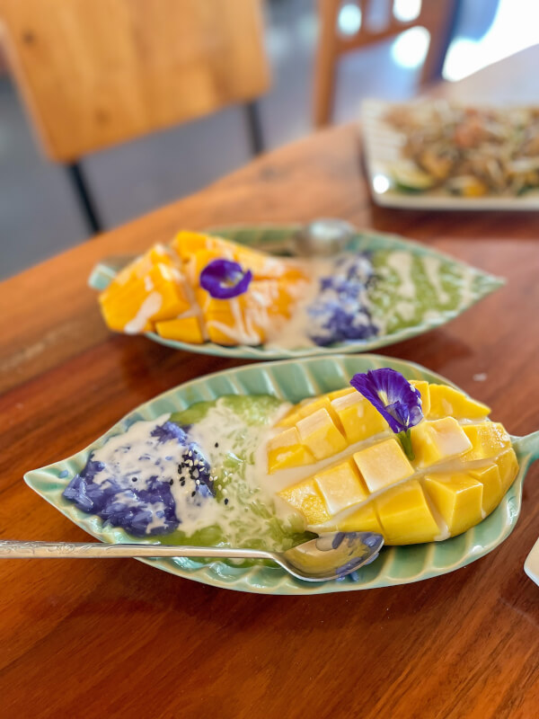 Thai Culinary Retreat: Farm-to-Table Cooking Experience in Chiang Mai